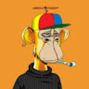 Meet your Posher, Owen